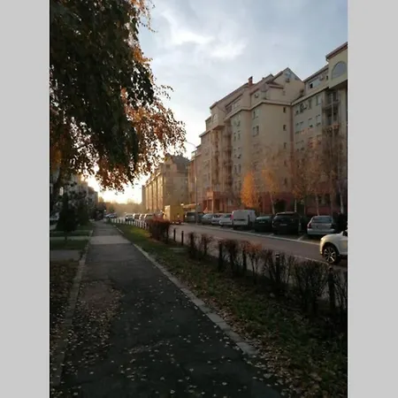 Oasis Felix * Bělehrad